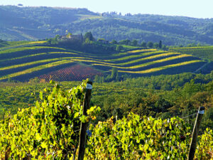 Best Day Trips from Florence: Tuscany’s Hidden Villages